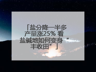 盐分降一半多 产量涨25% 看盐碱地如何变身“丰收田”