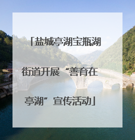盐城亭湖宝瓶湖街道开展“善育在亭湖”宣传活动