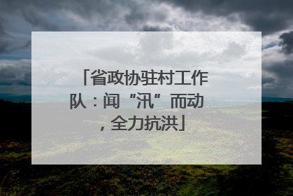 省政协驻村工作队：闻“汛”而动，全力抗洪
