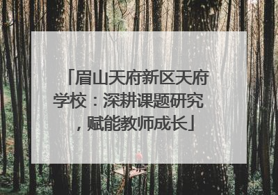眉山天府新区天府学校：深耕课题研究，赋能教师成长