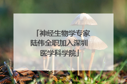 神经生物学专家陆伟全职加入深圳医学科学院