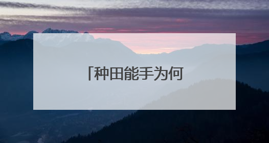 种田能手为何从容“放手”（三夏进行时）