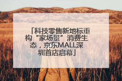 科技零售新地标重构“家场景”消费生态，京东MALL深圳首店启幕