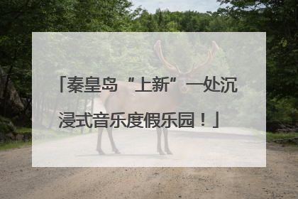 秦皇岛“上新”一处沉浸式音乐度假乐园！