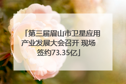 第三届眉山市卫星应用产业发展大会召开 现场签约73.35亿