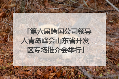 第六届跨国公司领导人青岛峰会山东省开发区专场推介会举行