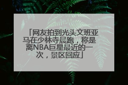 网友拍到光头文班亚马在少林寺晨跑，称是离NBA巨星最近的一次，景区回应