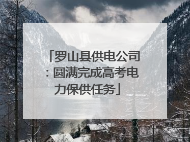 罗山县供电公司：圆满完成高考电力保供任务