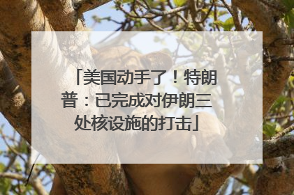 美国动手了！特朗普：已完成对伊朗三处核设施的打击