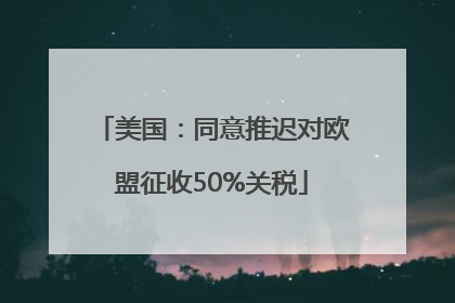 美国：同意推迟对欧盟征收50%关税