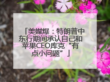 美媒爆：特朗普中东行期间承认自己和苹果CEO库克“有点小问题”