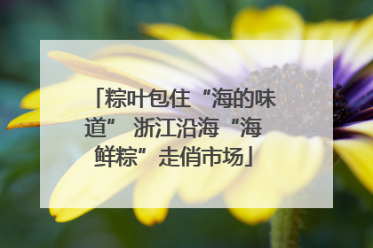 粽叶包住“海的味道” 浙江沿海“海鲜粽”走俏市场