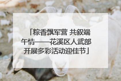 粽香飘军营 共叙端午情——花溪区人武部开展多彩活动迎佳节