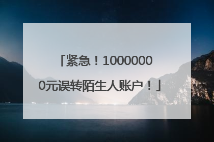 紧急！10000000元误转陌生人账户！