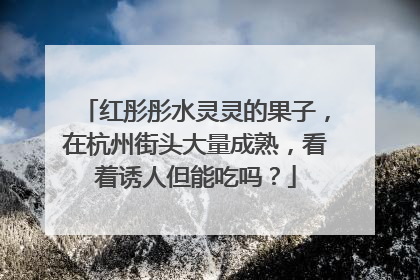 红彤彤水灵灵的果子，在杭州街头大量成熟，看着诱人但能吃吗？