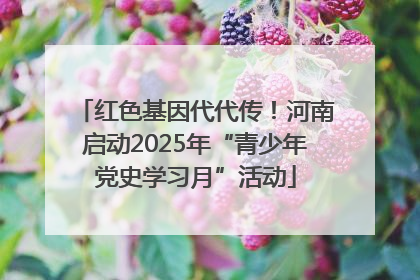 红色基因代代传！河南启动2025年“青少年党史学习月”活动