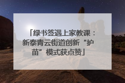 绿书签遇上家教课：新泰青云街道创新“护苗”模式获点赞