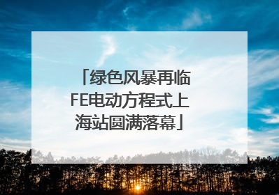 绿色风暴再临 FE电动方程式上海站圆满落幕