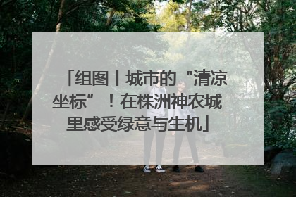 组图丨城市的“清凉坐标”！在株洲神农城里感受绿意与生机