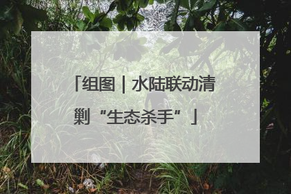 组图｜水陆联动清剿“生态杀手”