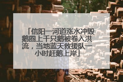信阳一河道涨水冲毁鹅圈上千只鹅被卷入洪流，当地蓝天救援队一小时赶鹅上岸