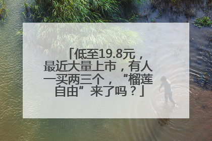低至19.8元，最近大量上市，有人一买两三个，“榴莲自由”来了吗？