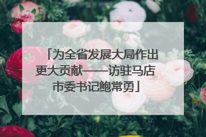 为全省发展大局作出更大贡献——访驻马店市委书记鲍常勇