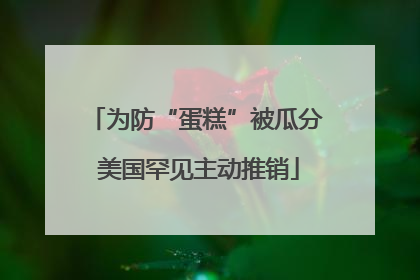 为防“蛋糕”被瓜分 美国罕见主动推销