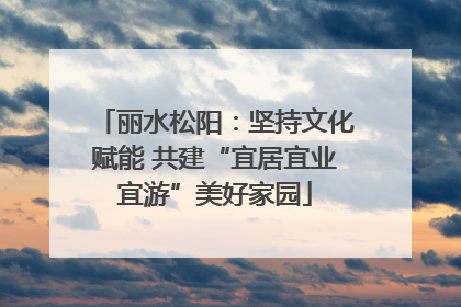 丽水松阳：坚持文化赋能 共建“宜居宜业宜游”美好家园