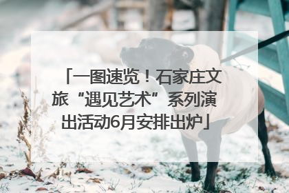 一图速览！石家庄文旅“遇见艺术”系列演出活动6月安排出炉