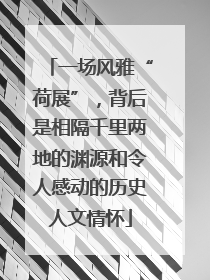 一场风雅“荷展”，背后是相隔千里两地的渊源和令人感动的历史人文情怀