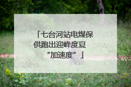 七台河站电煤保供跑出迎峰度夏 “加速度”