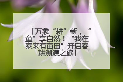 万象“耕”新，“童”享自然！“我在泰来有亩田”开启春耕溯源之旅