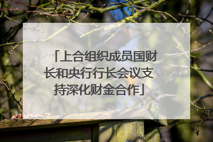 上合组织成员国财长和央行行长会议支持深化财金合作