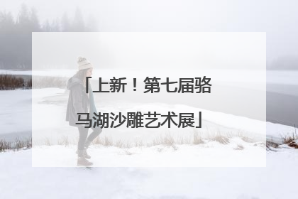上新！第七届骆马湖沙雕艺术展