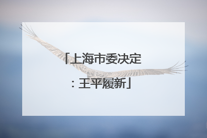上海市委决定：王平履新