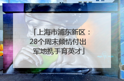 上海市浦东新区：28个周末倾情付出 军地携手育英才