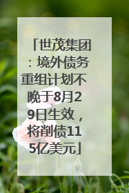 世茂集团：境外债务重组计划不晚于8月29日生效，将削债115亿美元