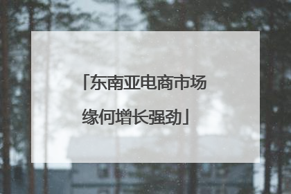 东南亚电商市场缘何增长强劲