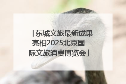 东城文旅最新成果亮相2025北京国际文旅消费博览会