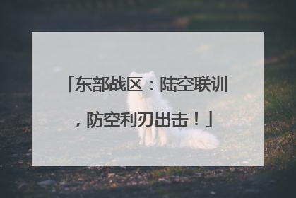 东部战区：陆空联训，防空利刃出击！