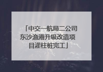 中交一航局二公司东沙渔港升级改造项目灌柱桩完工
