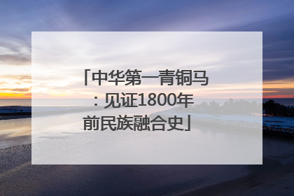 中华第一青铜马：见证1800年前民族融合史