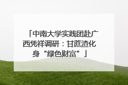 中南大学实践团赴广西凭祥调研：甘蔗渣化身“绿色财富”