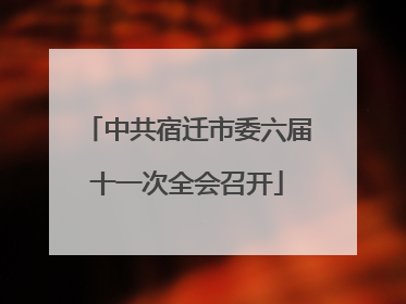 中共宿迁市委六届十一次全会召开