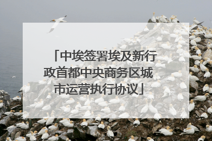 中埃签署埃及新行政首都中央商务区城市运营执行协议
