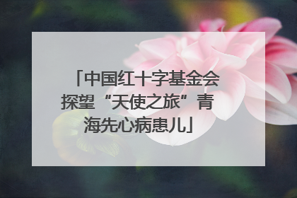 中国红十字基金会探望“天使之旅”青海先心病患儿