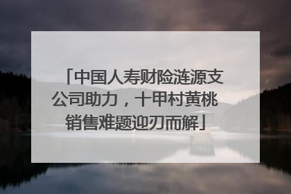 中国人寿财险涟源支公司助力，十甲村黄桃销售难题迎刃而解