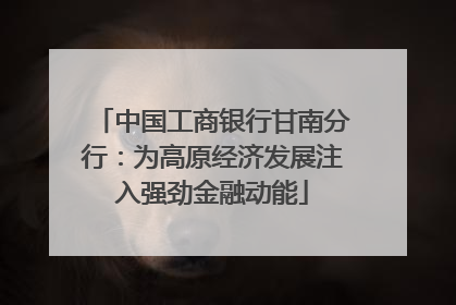 中国工商银行甘南分行：为高原经济发展注入强劲金融动能