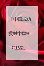 中国成功发射中星9C卫星